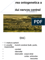 Anatomia SNC Curs 1