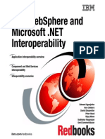 IbmWS and Microsoft Net