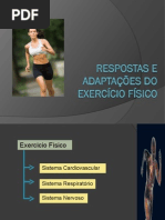 Adaptações Do Exercício Físico