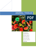 The Report of Animal Tissue Observation Result