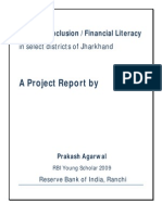 Financial Inclusion Report RBI Internship