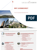 AMCHAM Why Luxembourg PDF