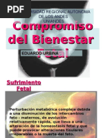 Compromiso Del Bienestar Fetal