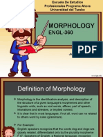 Morphology Presentation For Elementary Students