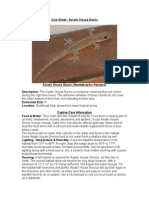 Care Sheet - Asiatic House Gecko (Hemidactylus Frenatus)