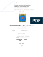 MONOGRAFIA DE CALOPHILLUM BRASILIENSE - Lagarto Caspi