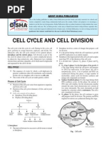 Cell Cycle and Cell Division