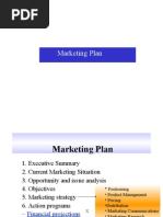 Marketing Plan & Audit