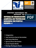 Equipo-4 - Sistema de Producción Agrícola de Tecnología Moderna (De Punta) - 2 PDF