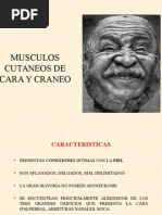 Musculos de Cara y Craneo - Testut