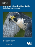 Falconry Guide - Public Edition (SM)