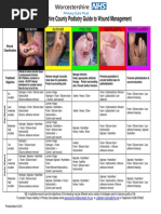 Worcestershire County Podiatry Guide To Wound Management: Necrotic