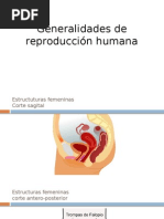 Generalidades de Reproducción Humana 2014 Oct