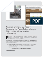 Analisis Primario Piña y Guayaba