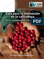 Cultivo de Cafe