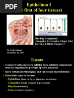 Epithelium I (The First of Four Tissues) : Reading Assignment: Junqueira & Carneiro, Chapt. 2&4 Gartner & Hiatt, Chapter 2