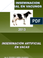 Inseminacion Artificial - VACAS