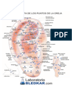 Mapa Auriculoterapia