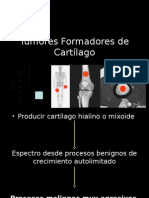 Tumores Formadores de Cartílago