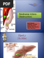 Sindrome Ictero Obstructivo