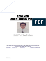 Cv-Hanry Guillén Vilca