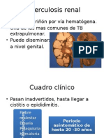 TB Renal