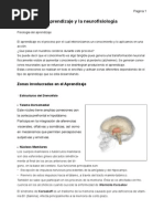 Neurofisiologia Del Aprendizaje