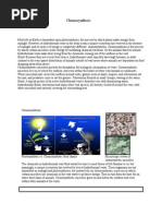 Chemosynthesis