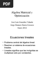 Algebra Lineal y Optimizacion 01