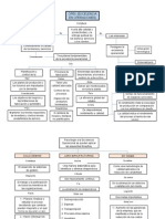 Mapa Conceptual OPEX