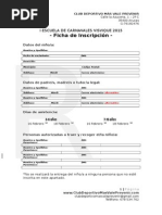 Ficha Inscripción Carnavales Visvique Arucas