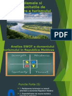 Analiza Swot 