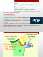 Articulatii MB Sup Si Inf