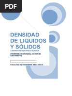 Informe de Densidad de Sólidos