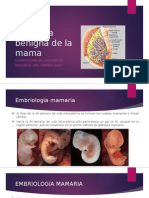 Patologia Benigna de La Mama