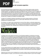 Las Plantas Sagradas Del Noroeste Argentino PDF