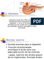 Diabetes Mellitus Pancreas