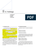 Fisiopatologia Renal