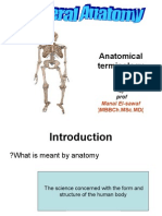 General Anatomy