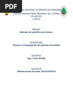 Informe Practica de Viveros