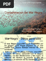 Contaminacion Del Mar Negro ES