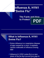 h1n1 Swine Flu Presentation