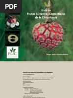 33723libro Frutos Silvestres