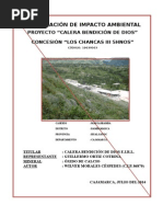 Declaración de Impacto Ambiental