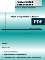 Tipos de Vegetación en México