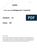 PDHPE Year 8 Fun Can Be Dangerous Essay