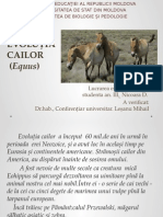 Equus (Evolutia Cailor)