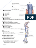 Basic Intravenous Therapy