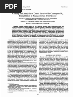Cloning Analysis of Biosynthesis in Pseudomonas Denitrificans
