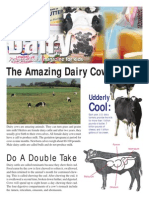 Dairy Ag Mag